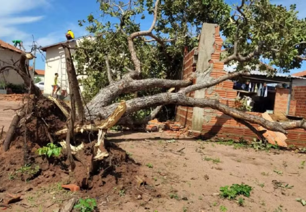 Após sete meses, prefeitura faz contrato emergencial sem licitação para recuperar casas atingidas por temporal em Palmas